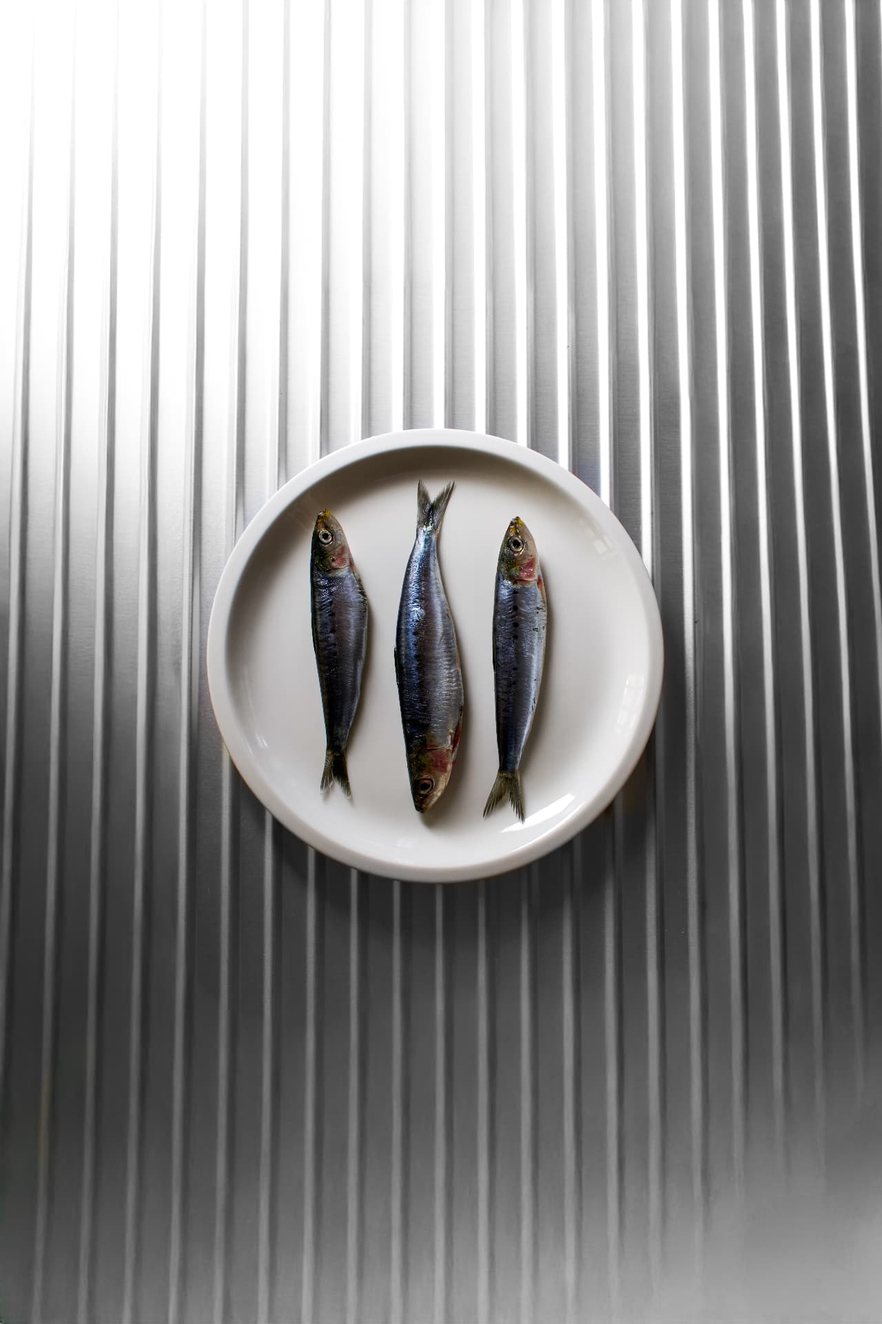Trois sardines fraîches sur une assiette, fond de tôle ondulée