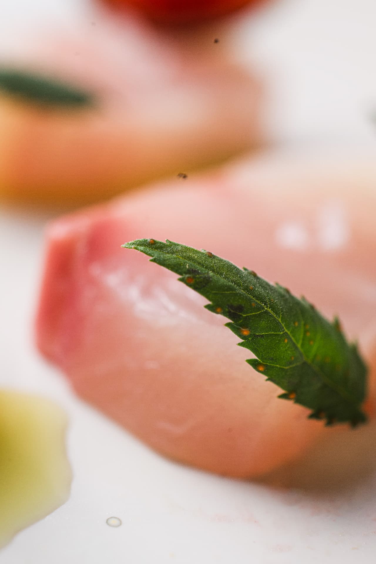 Gros plan sur le thon, une figue et une feuille de menthe