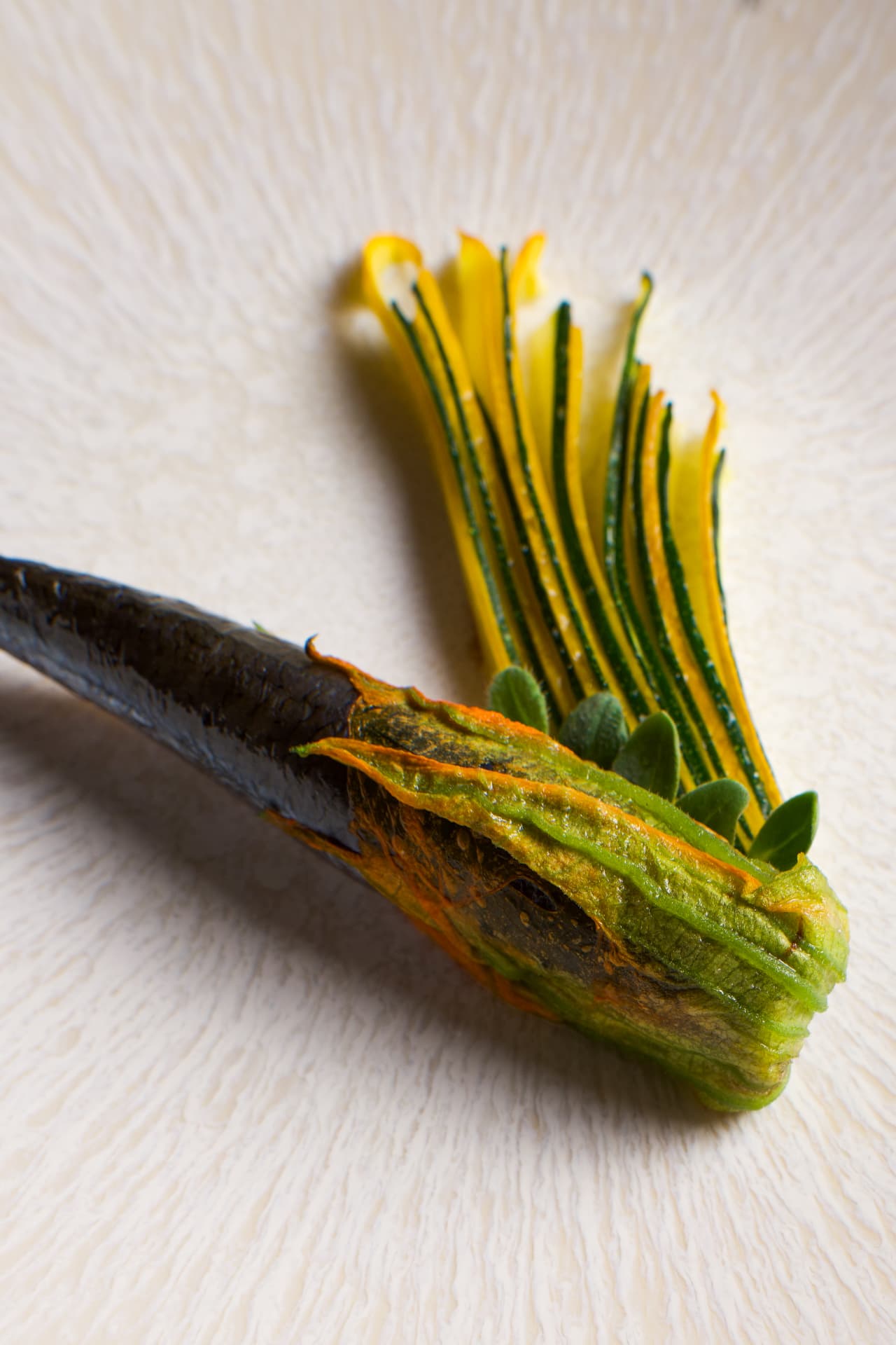 Détail du plat : sardine à la fleur de courgette